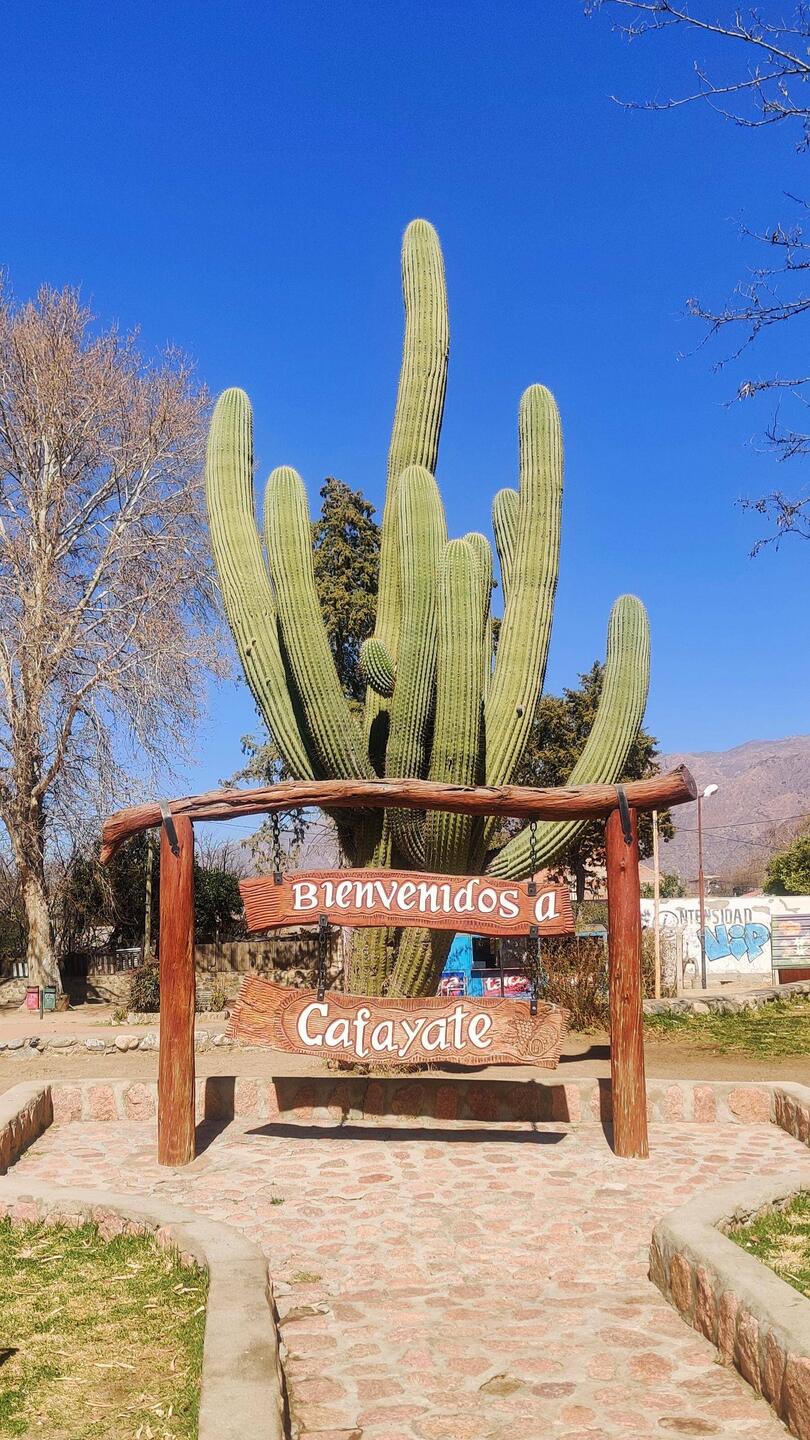 "Bienvenidos a Cafayate"