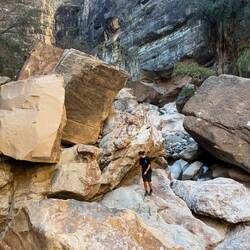 Der streunende Hund begleitete uns die ganze Tour