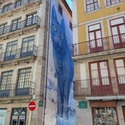 Cool mural on building in central Porto