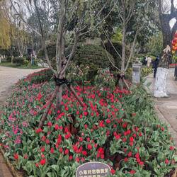 Flowers!