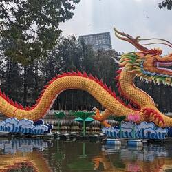 The upcoming year is the year of the dragon.