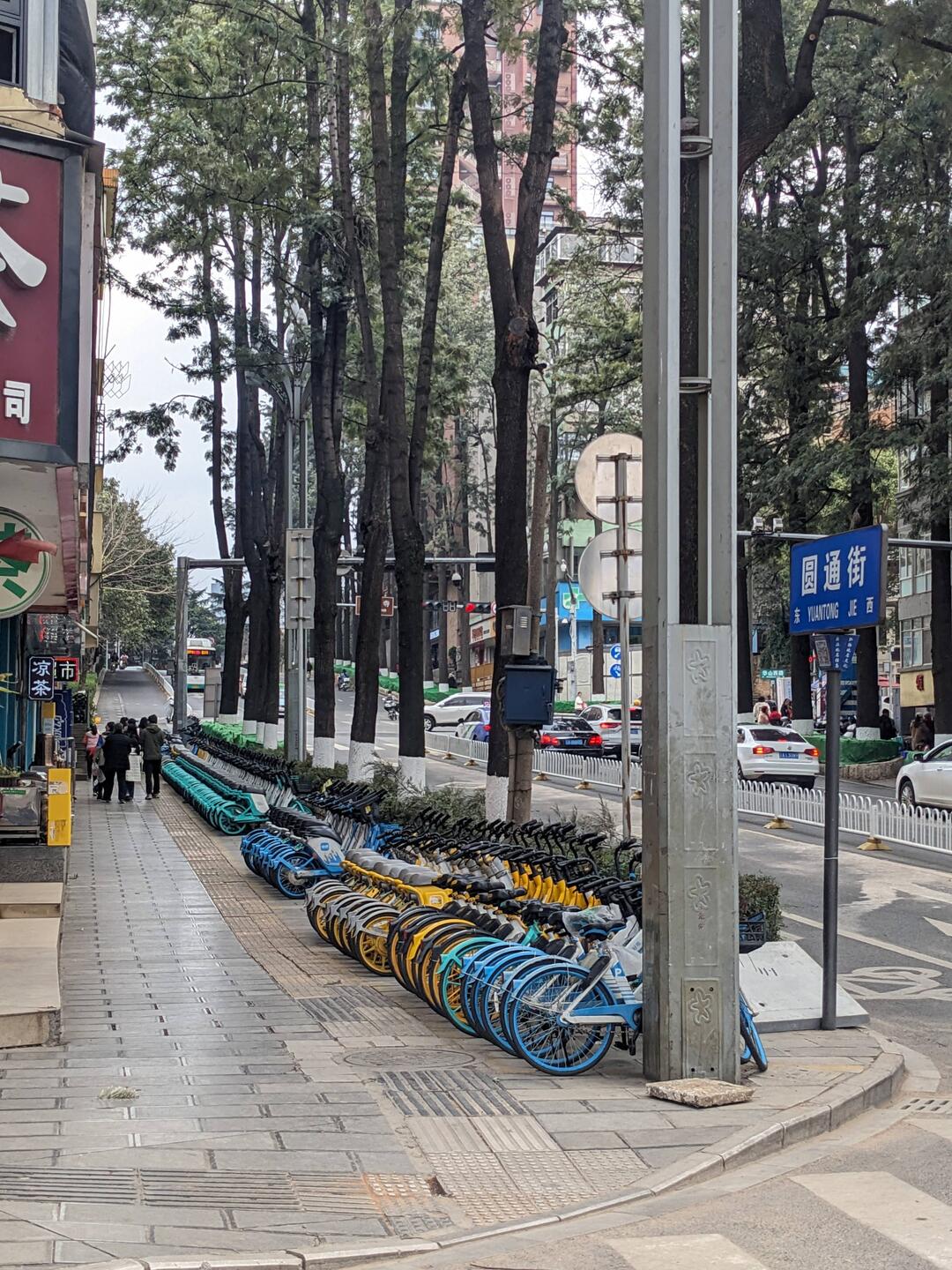 Bikes, bikes, bikes,...