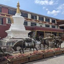 Tea horse museum.