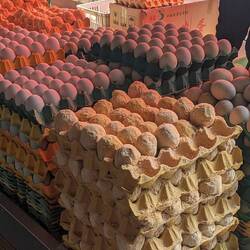 I couldn't figure out what happened to these eggs, but they were popular.