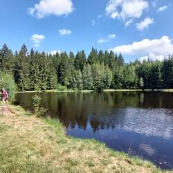 Der wunderschöne Sauteich!
