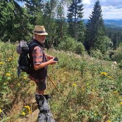 Der Steig hinunter von der ehemaligen Abraumhalde....