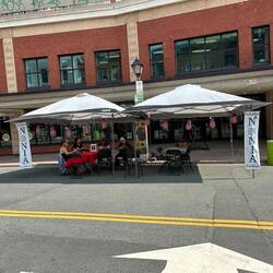 Ladies knitting on the pedestrian mall downtown to support NONIA.
