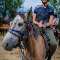 Si parte 🐎