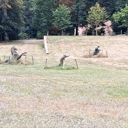 Statue in attesa del restauro della gamberaia