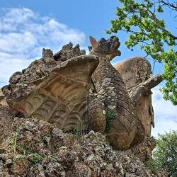 Un drago sulla schiena del gigante