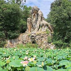 Un gigante che gioca tra le ninfee