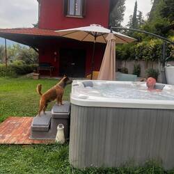 In den Jacuzzi konnt die faule Socke aber wieder gehen