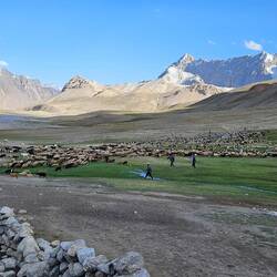 Wir besuchten die Ziegen- und Schafherde die auch unseren Porter gehörten