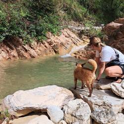 Ausflug zum geheimen Schwimmbecken für Hunde
