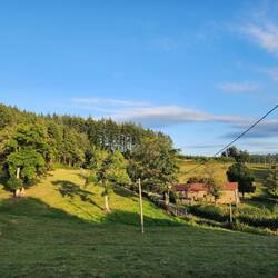 The other neighbours