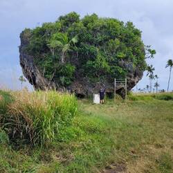 Tsunami Rock