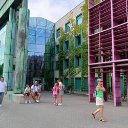 Die Universitätsbibliothek