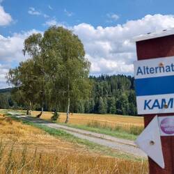 Wir wählen heute die Alternative!