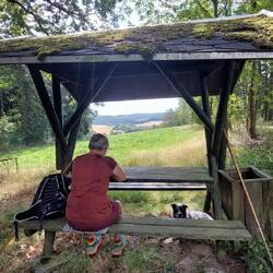 Fenster mit Aussicht!