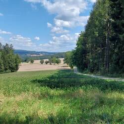 Schöner Blick von der Pausenbank!