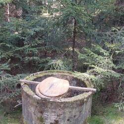 Willkommen im Vogtland?🤔