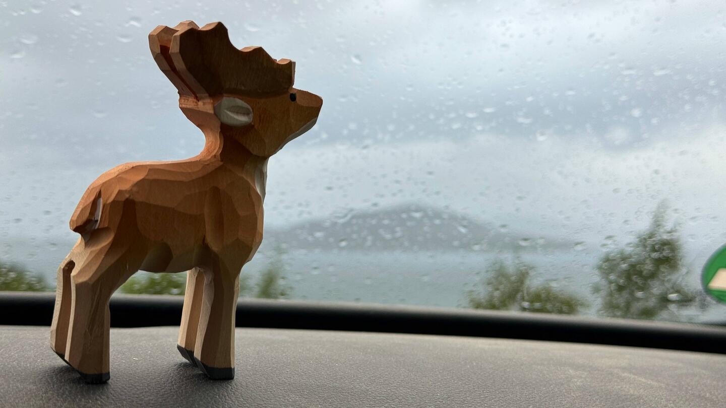 Da will nicht mal der Elch aus dem Auto steigen.