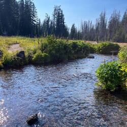 Das heutige Ziel: Mesa Creek