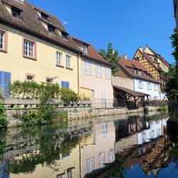 Colmar