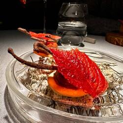 Hazelnut mousse with a carrot tulip