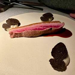 Duck with Jerusalem artichoke and truffle