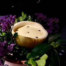 Pork with passion fruit