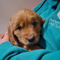 Look at that face!