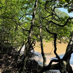 Kilim Geoforest Park