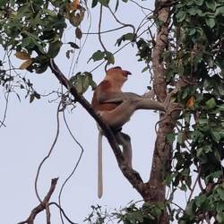 Hey Marc, wer ist der coolste hier?