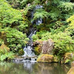 Japanese gardens in Portland. Beautiful!