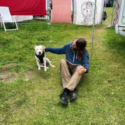Our little therapy dog (she's really certified!)