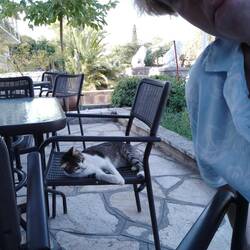 Der hat mich geschlagen :(