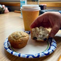 Der Baubeermuffin ist noch warm.