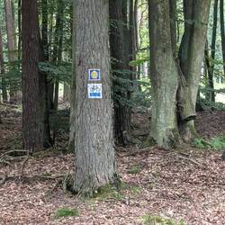 Geheime Zeichen