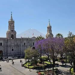 Plaza de Mayo - für uns der Schönste bisher!