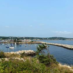 View of harbor from footpath