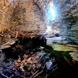 Alle Einwohner starben hier an der Pest