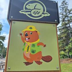 Immer schön den Biber- Regeln folgen