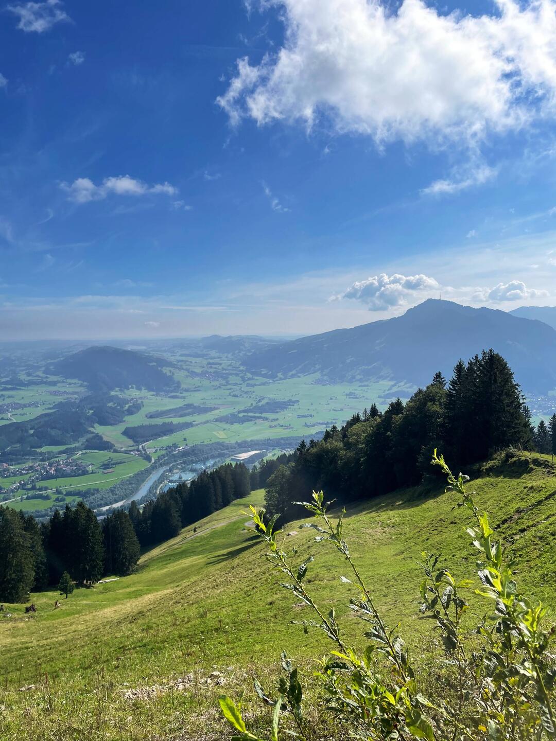 Ausblick vom "Mittag"