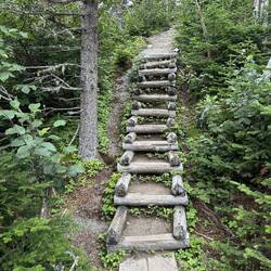 These kinds of stair helped with the climbs