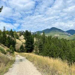 Bike Trail (the easy part)