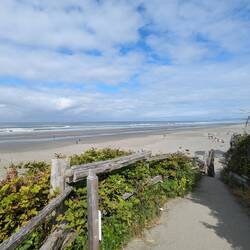 Kalaloch beach