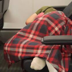 ...andere ziehen umher.. liegen mal da... und mal dort...