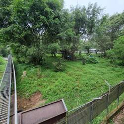 Gehege für 2 Bären