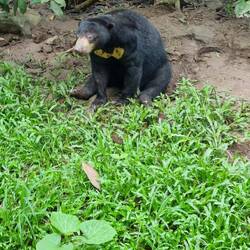 Bester Bär der Welt ❤️